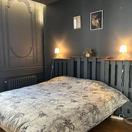 Charmant Loft Au Coeur De Dole Extérieur photo
